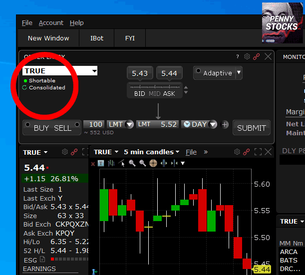 Plataforma TWS Interactive Brokers